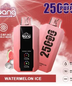 Bang 25000 Puffs Vape 25K Disposable Vape Pen E Cigarette Prefilled 30ml 650mAh Disposable Vape 12 Flavors