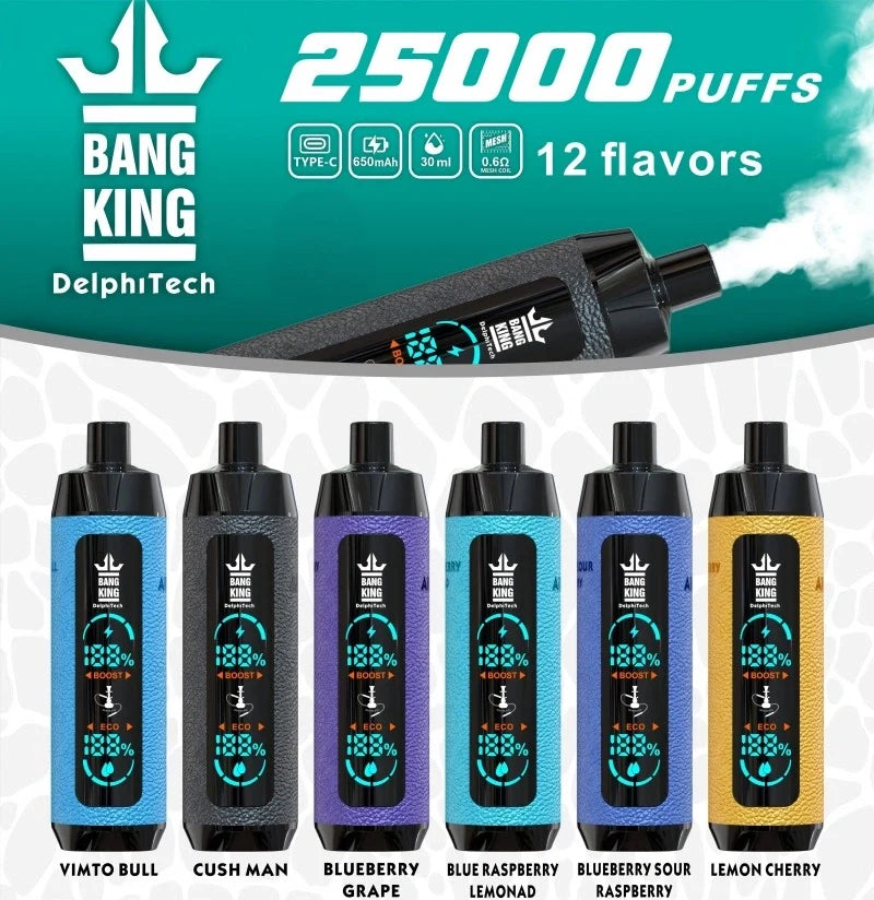 BangKing 25000 E-shisha Wholesale Discount Price Best Sale-850mAh Battery, 40ml E-liquid, Multiple Nicotine 12 Flavors