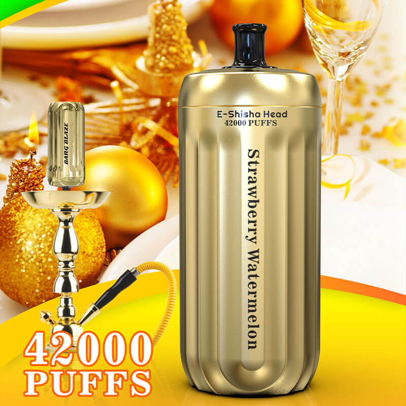 Bang Blaze E-Shisha Head 42000 Puffs(0% to 5% Nicotine) - 30ml E-Liquid, 1000mAh Battery 12 Flavors