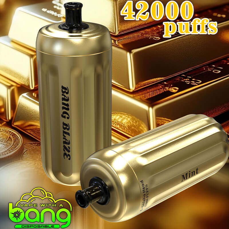 Bang Blaze E-Shisha Head 42000 Puffs(0% to 5% Nicotine) - 30ml E-Liquid, 1000mAh Battery 12 Flavors
