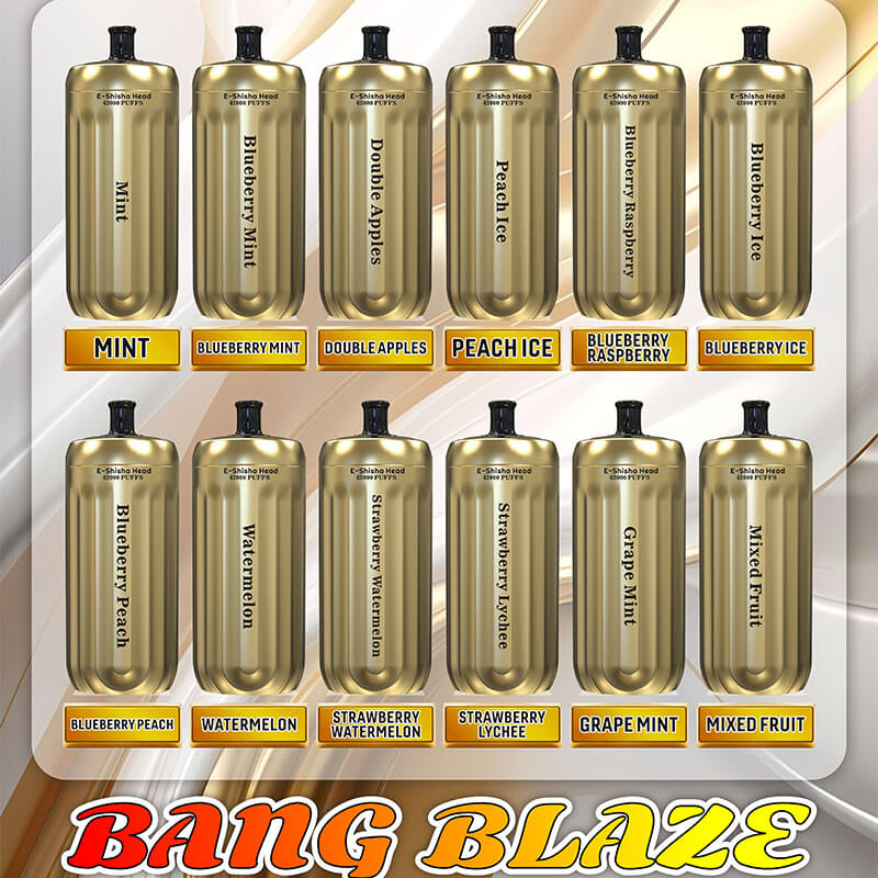 Bang Blaze E-Shisha Head 42000 Puffs(0% to 5% Nicotine) - 30ml E-Liquid, 1000mAh Battery 12 Flavors