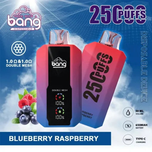 Bang 25000 Puffs Vape 25K Disposable Vape Pen E Cigarette Prefilled 30ml 650mAh Disposable Vape 12 Flavors