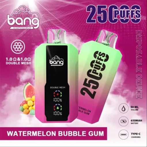 Bang 25000 Puffs Vape 25K Disposable Vape Pen E Cigarette Prefilled 30ml 650mAh Disposable Vape 12 Flavors