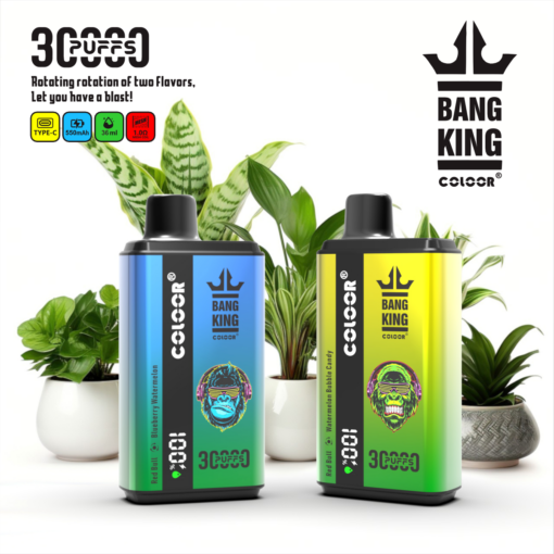 BANGBOX 30000 puffs dual flavors vape LED Display 35ml capcity Batterya 850MAH 12 Flavors