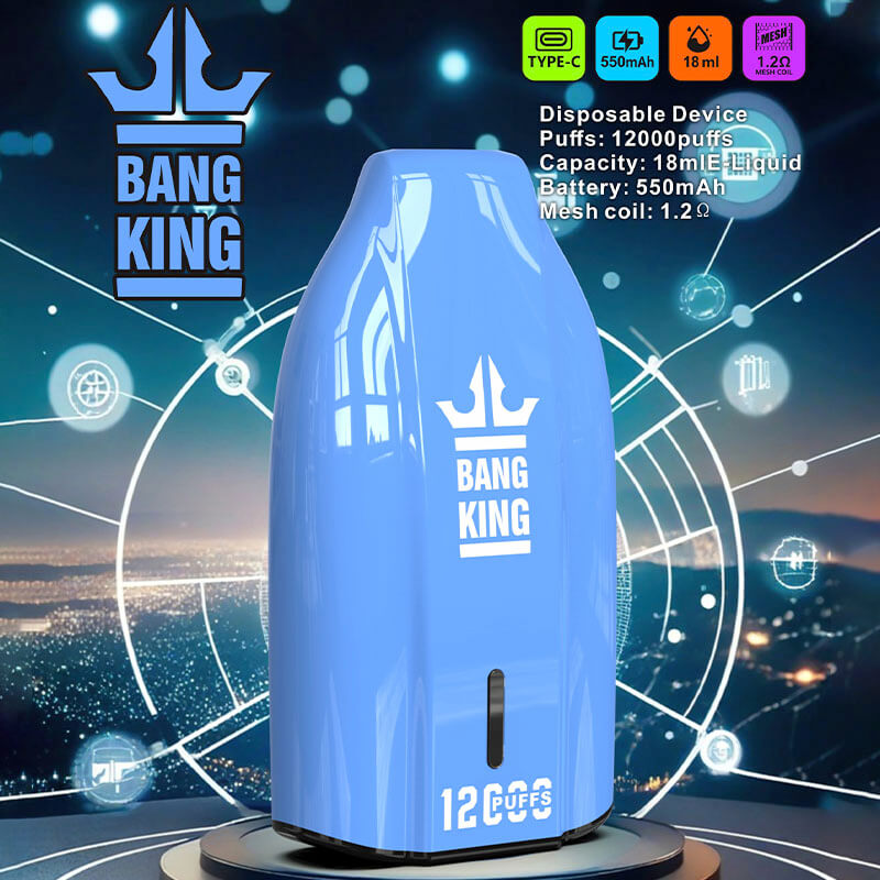 Bang King 12000 Puffs Disposable Vape(0% to 5% Nicotine) - 12ml E-Liquid, 600mAh Battery 12 Flavors