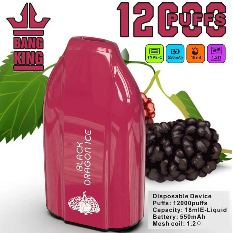 Bang King 12000 Puffs Disposable Vape(0% to 5% Nicotine) - 12ml E-Liquid, 600mAh Battery 12 Flavors