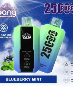 Bang 25000 Puffs Vape 25K Disposable Vape Pen E Cigarette Prefilled 30ml 650mAhDisposable Vape 12 Flavors